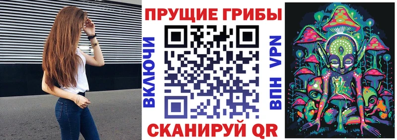 Купить где  Закаменск  Галлюциногенные грибы GOLDEN TEACHER 